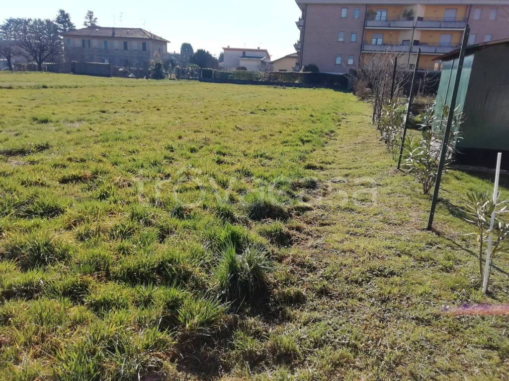 immagine annuncio 3 di 6