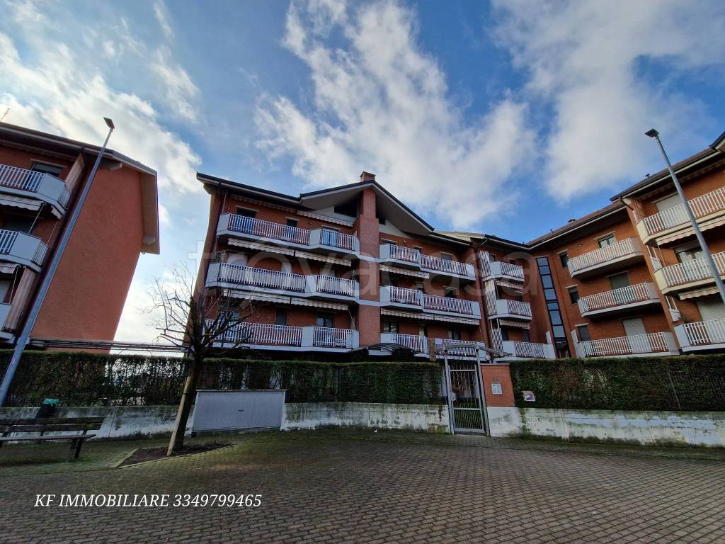 immagine annuncio 1 di 15