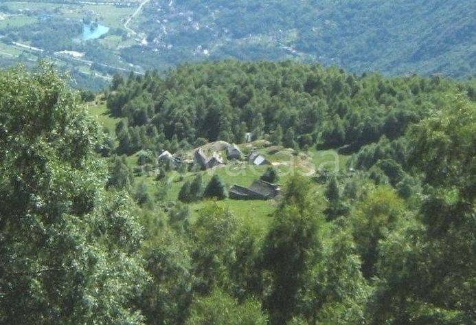 immagine annuncio 10 di 14