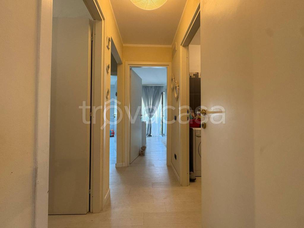 immagine annuncio 6 di 12