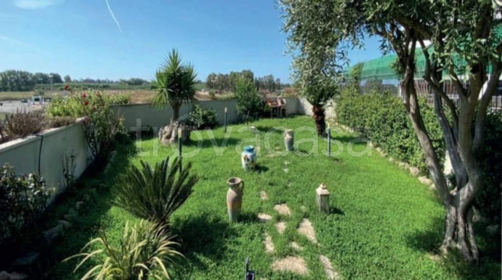 immagine annuncio 5 di 13