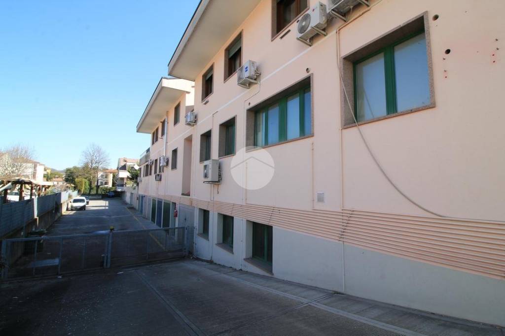 immagine annuncio 11 di 14