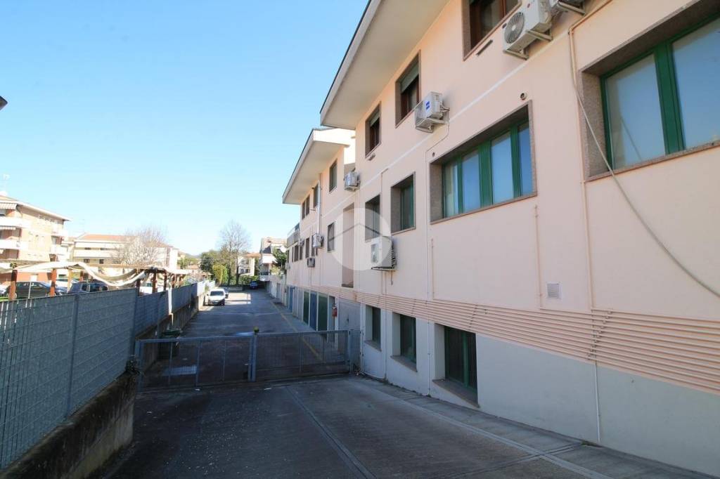 immagine annuncio 12 di 14