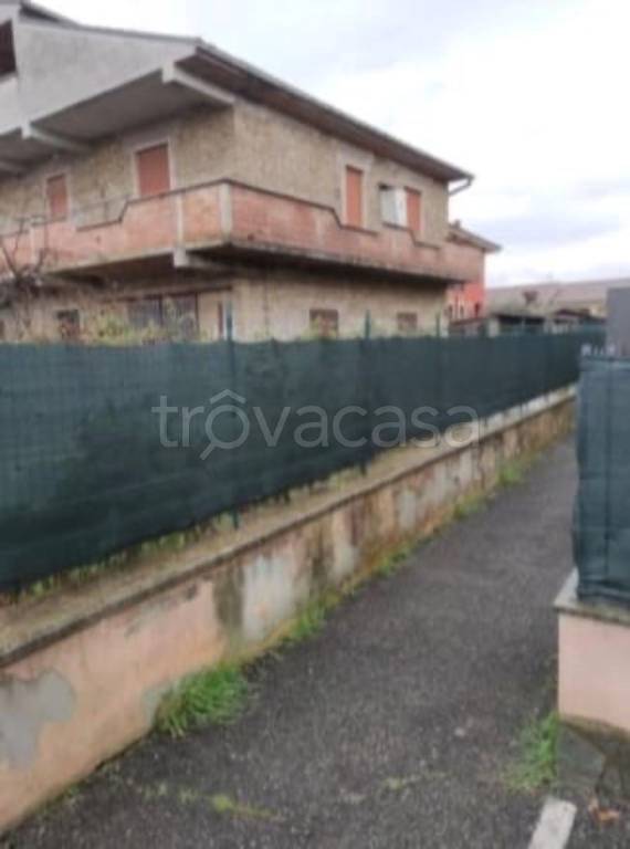 immagine annuncio 9 di 14