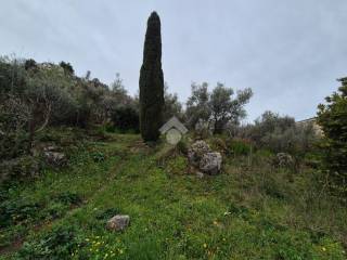 Terreno residenziale in vendita a monreale via eva peron, 15