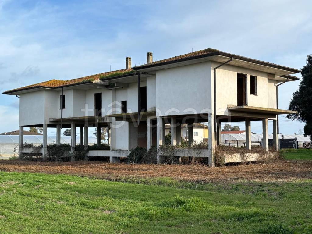 immagine annuncio 4 di 8