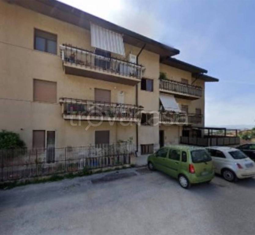 immagine annuncio 5 di 14