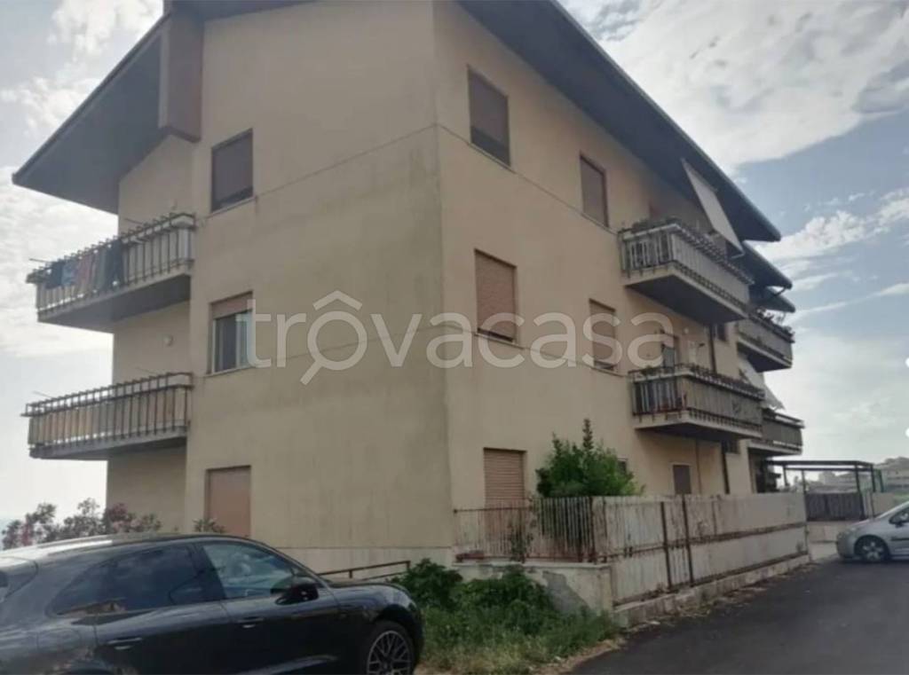 immagine annuncio 12 di 14