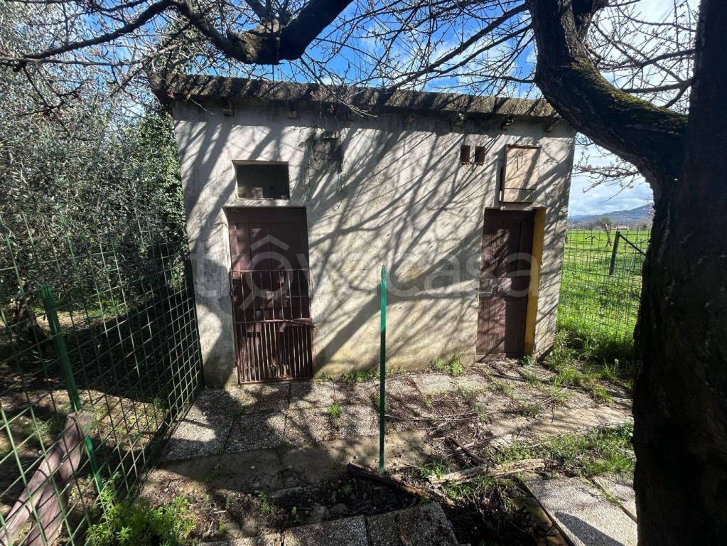 immagine annuncio 9 di 14