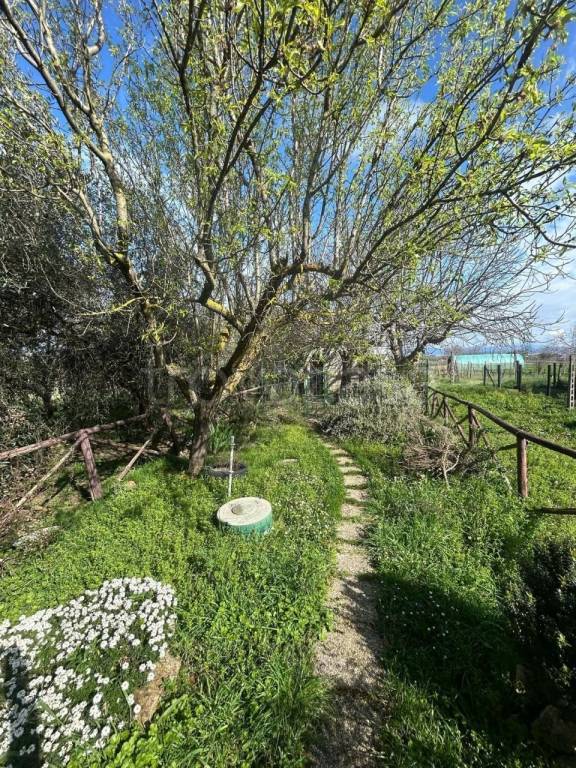 immagine annuncio 10 di 14