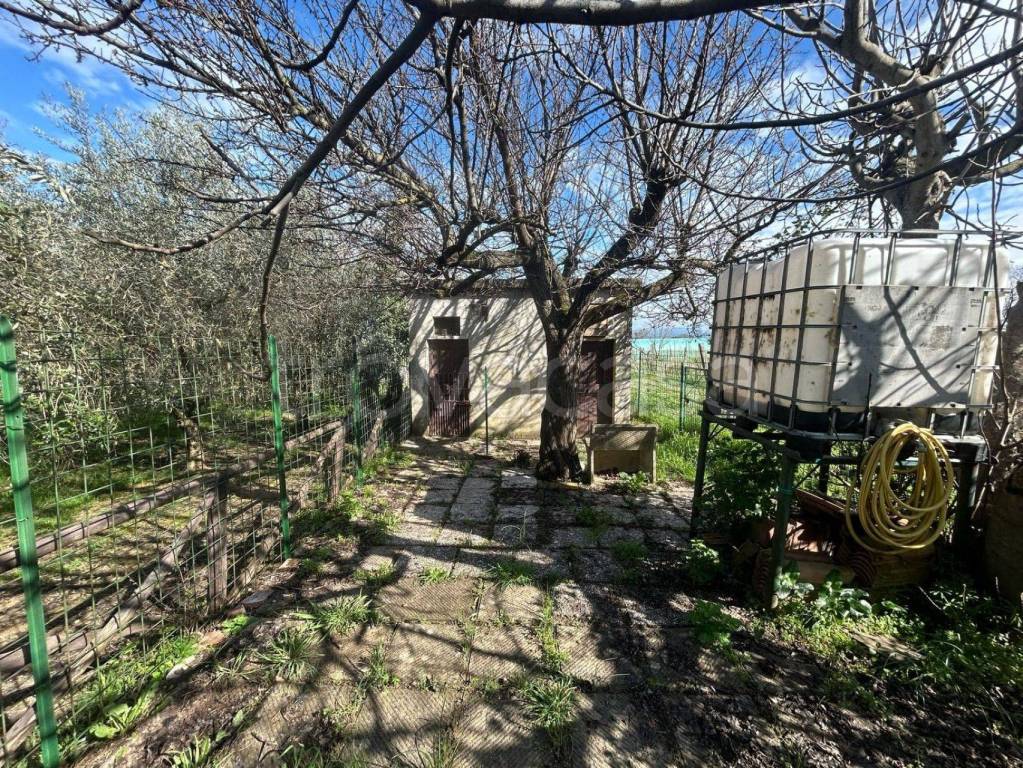 immagine annuncio 11 di 14