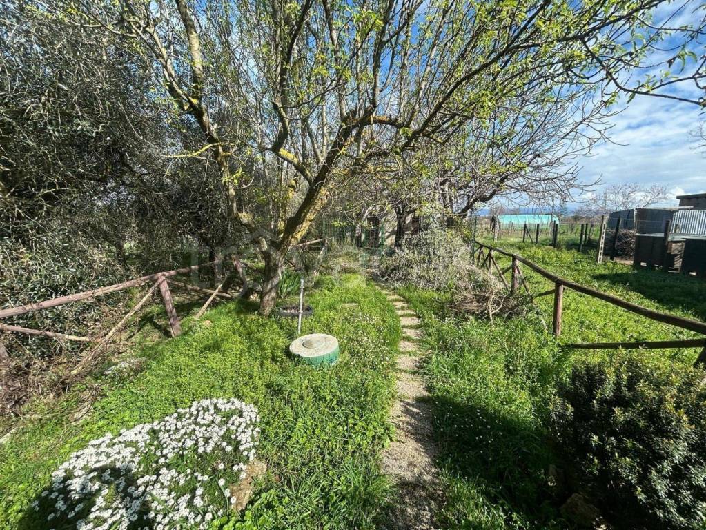 immagine annuncio 12 di 14