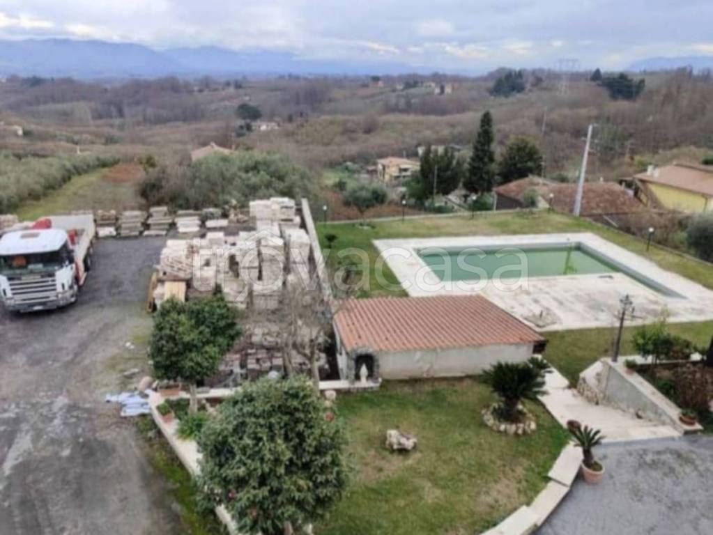 immagine annuncio 10 di 14