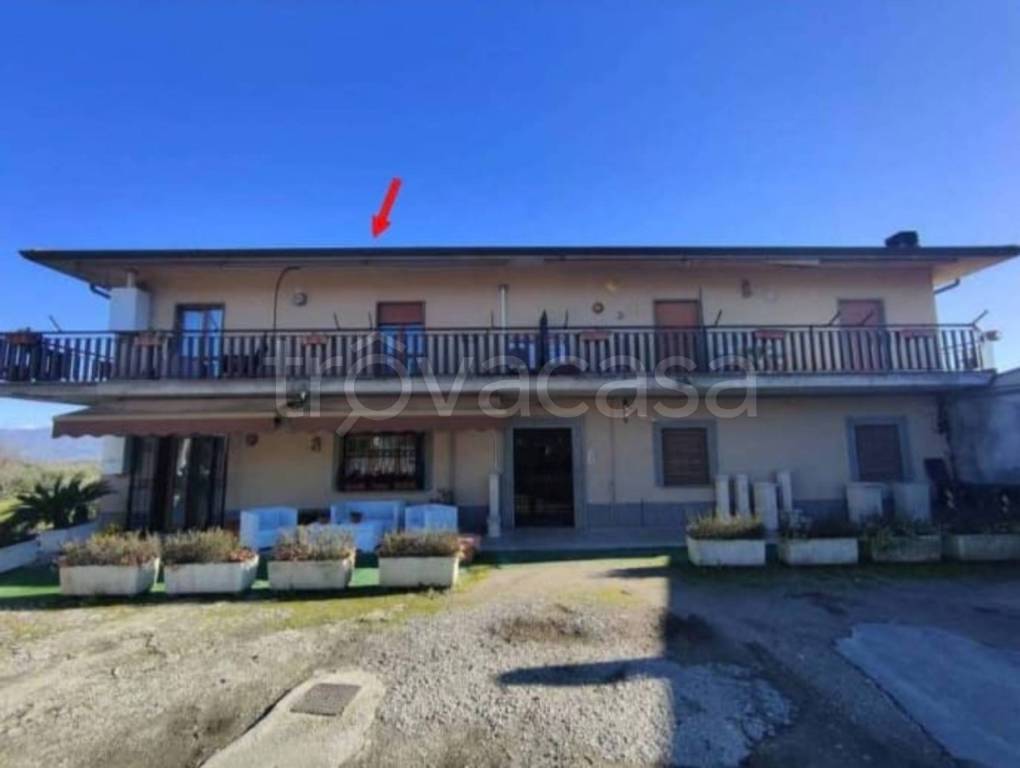 immagine annuncio 12 di 14