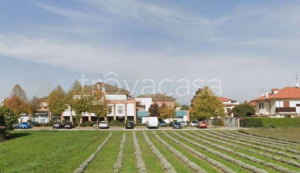 immagine annuncio 1 di 7