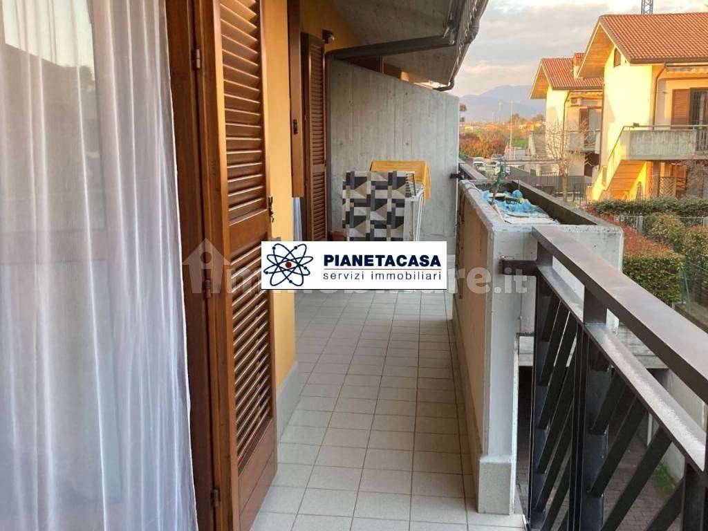 immagine annuncio 1 di 12
