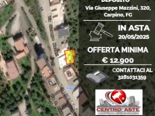 Magazzino all'asta a carpino via mazzini, 320, 71010 carpino fg, italia