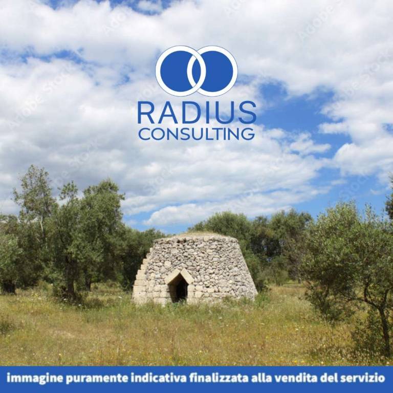 immagine annuncio 11 di 14