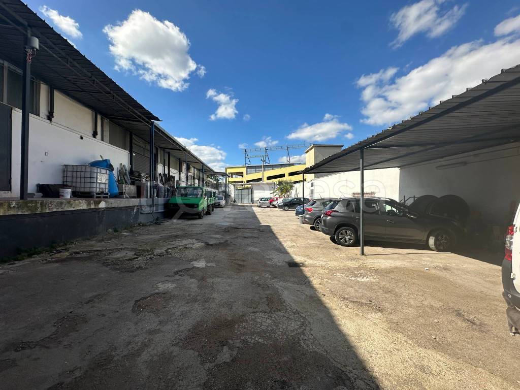 immagine annuncio 1 di 11