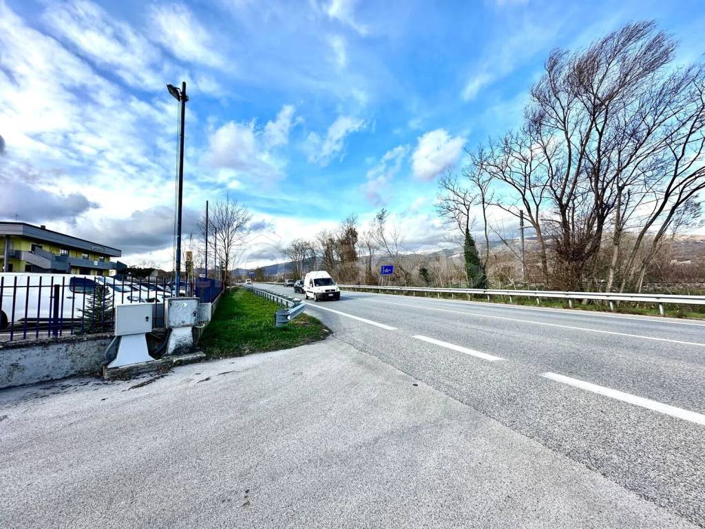 immagine annuncio 1 di 2