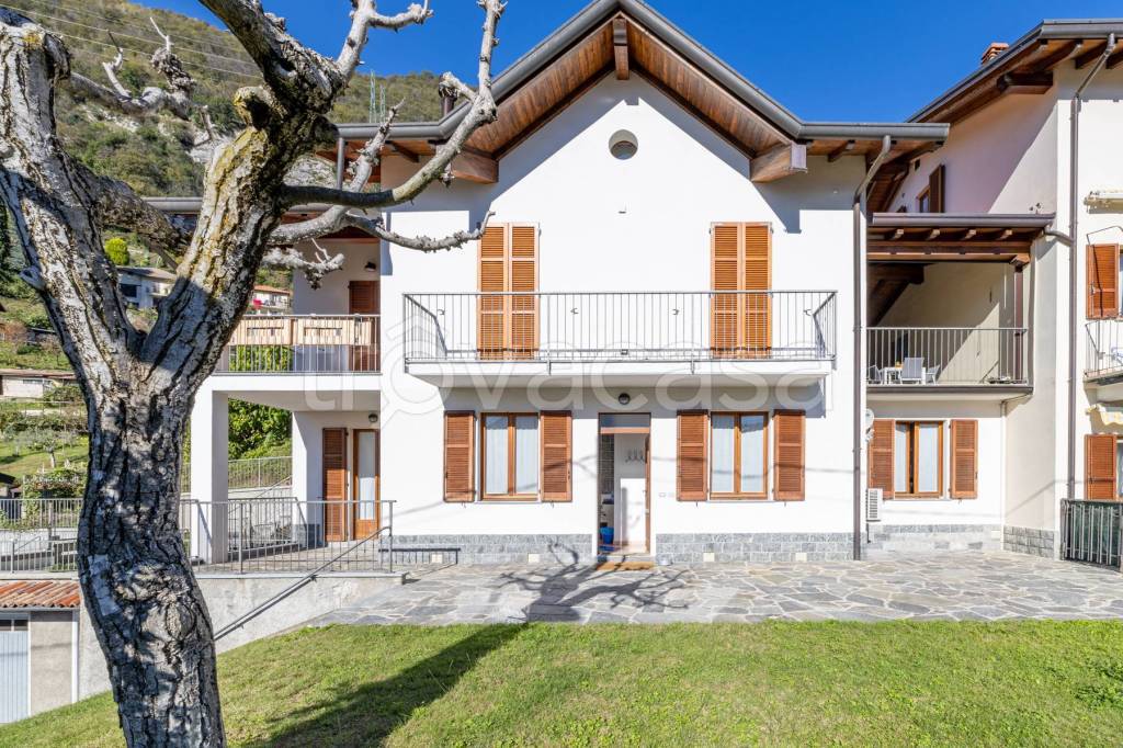 immagine annuncio 1 di 14