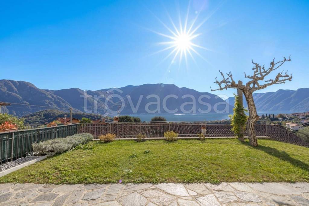 immagine annuncio 11 di 14