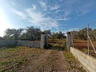 Terreno agricolo in vendita a sassari strada provinciale sassari-argentiera, 112