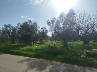 Terreno residenziale in vendita a galatone strada comunale orelle campilatini, 21