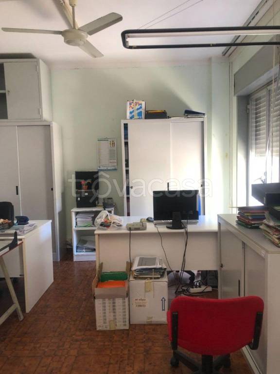 immagine annuncio 12 di 13