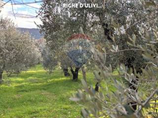 Terreno agricolo in vendita a massa marittima via massetana sud