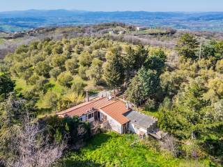 Villa in vendita a cinigiano strada provinciale stribugliano