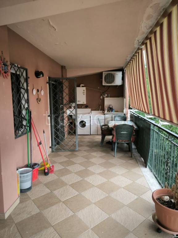 immagine annuncio 12 di 14