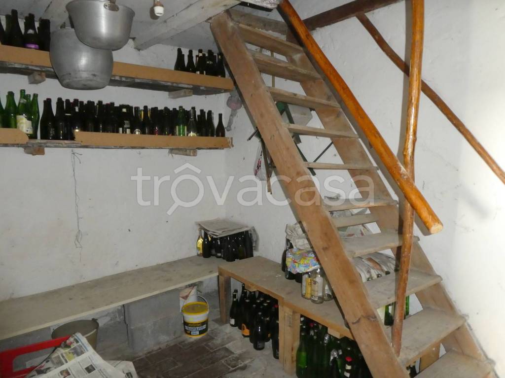 immagine annuncio 6 di 14