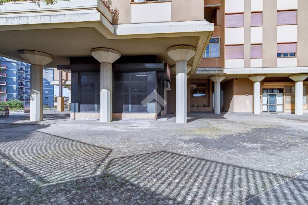 immagine annuncio 8 di 14