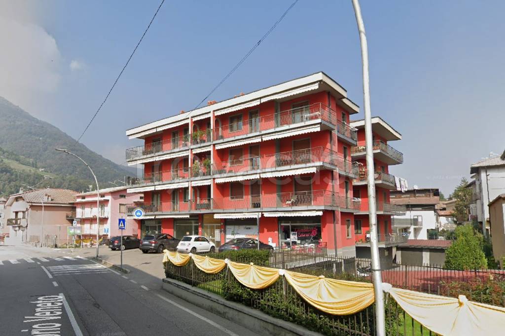immagine annuncio 2 di 15