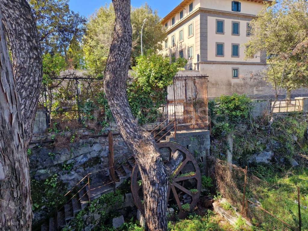 immagine annuncio 9 di 14