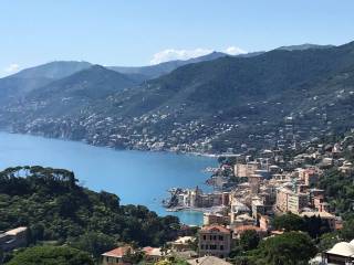 Villa in vendita a camogli via pissorella