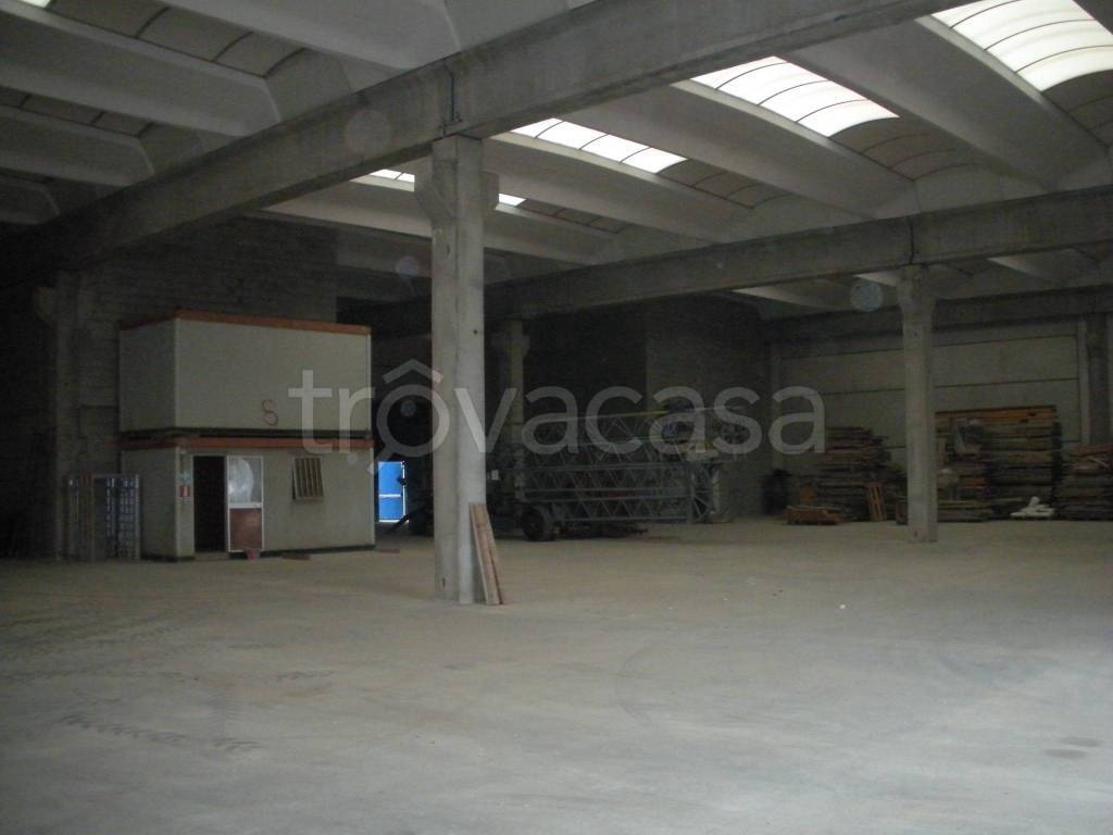 immagine annuncio 8 di 11