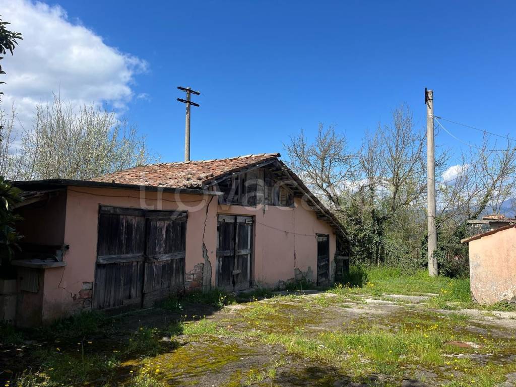 immagine annuncio 9 di 13
