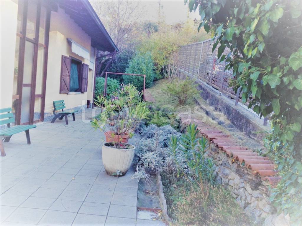 immagine annuncio 12 di 15