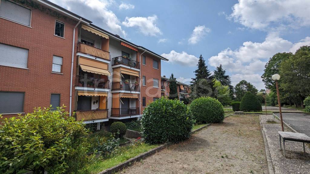 immagine annuncio 1 di 15