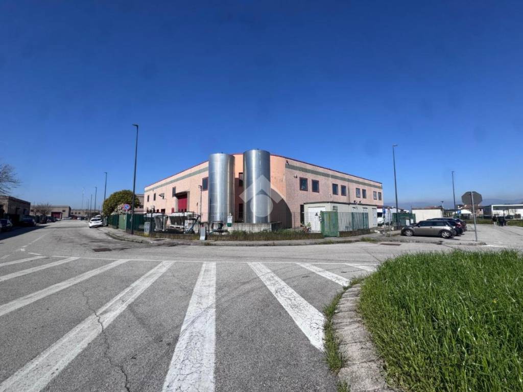 immagine annuncio 8 di 13