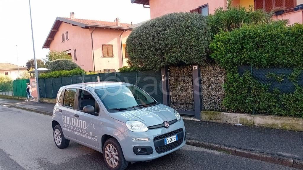 immagine annuncio 1 di 15