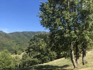 Terreno agricolo in vendita a varese ligure località taglieto