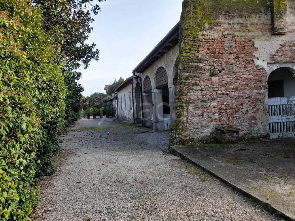 immagine annuncio 5 di 15