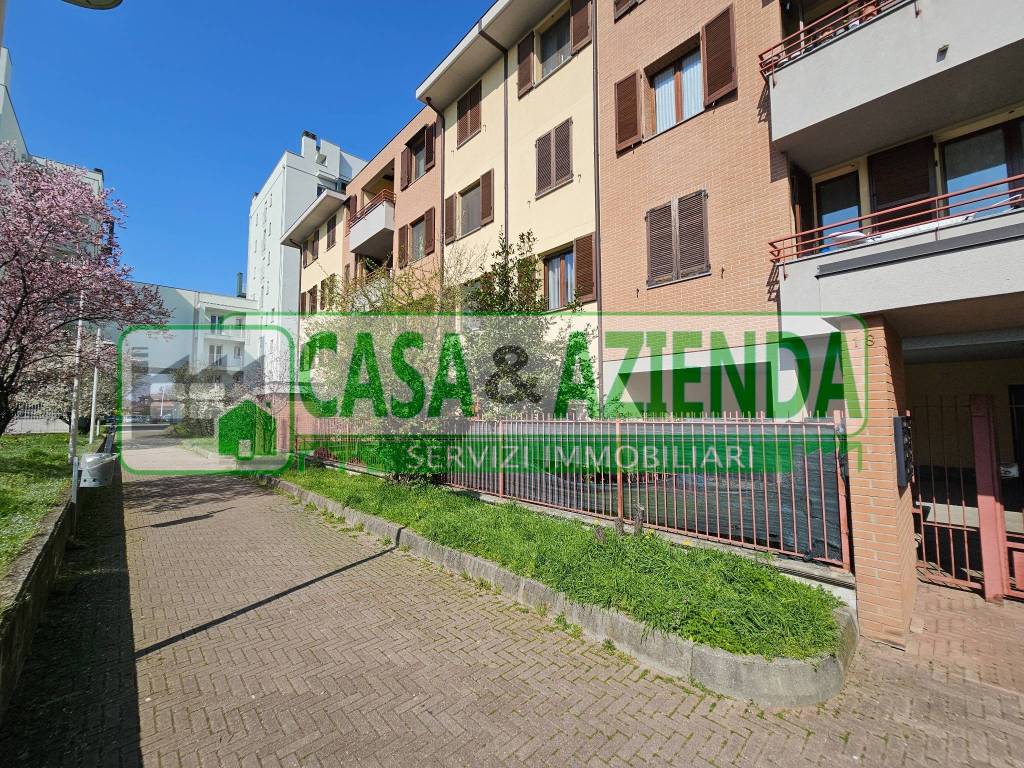 immagine annuncio 2 di 15