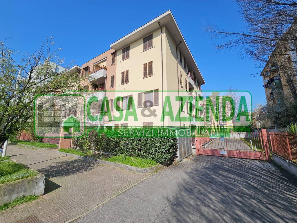 immagine annuncio 4 di 15