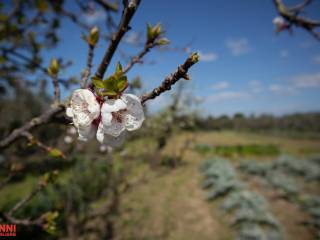 Terreno residenziale in vendita a cecina via aurelia sud