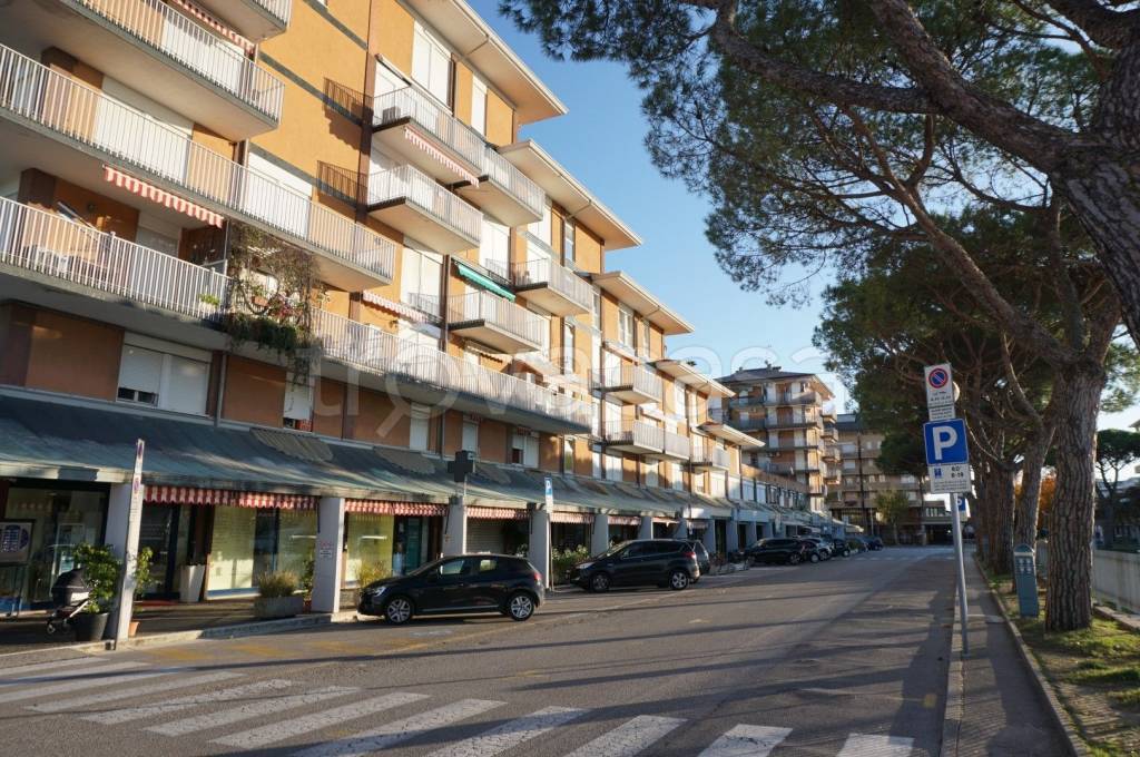 immagine annuncio 5 di 8