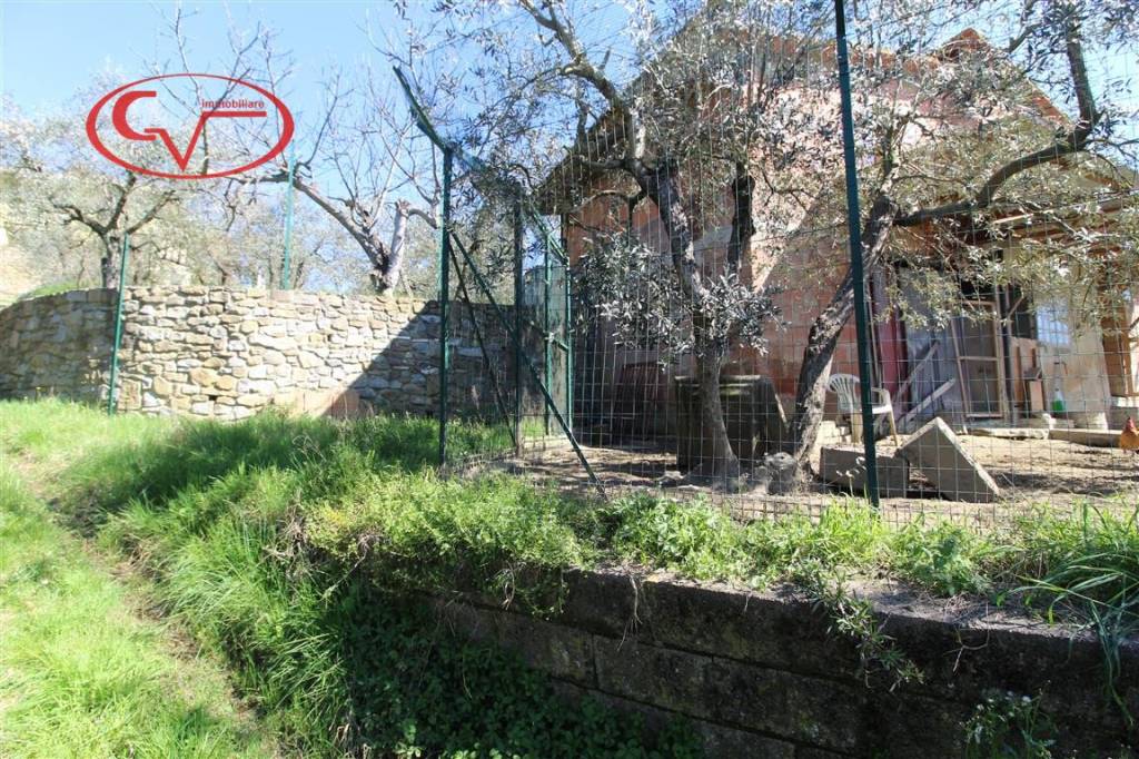 immagine annuncio 5 di 12